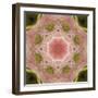 Colorful kaleidoscope.-Anna Miller-Framed Photographic Print