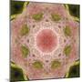 Colorful kaleidoscope.-Anna Miller-Mounted Photographic Print