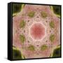 Colorful kaleidoscope.-Anna Miller-Framed Stretched Canvas