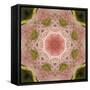 Colorful kaleidoscope.-Anna Miller-Framed Stretched Canvas