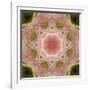 Colorful kaleidoscope.-Anna Miller-Framed Photographic Print