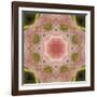 Colorful kaleidoscope.-Anna Miller-Framed Photographic Print