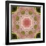 Colorful kaleidoscope.-Anna Miller-Framed Photographic Print