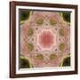 Colorful kaleidoscope.-Anna Miller-Framed Photographic Print