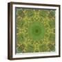 Colorful kaleidoscope.-Anna Miller-Framed Photographic Print