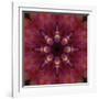 Colorful kaleidoscope.-Anna Miller-Framed Photographic Print