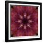 Colorful kaleidoscope.-Anna Miller-Framed Photographic Print