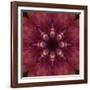 Colorful kaleidoscope.-Anna Miller-Framed Photographic Print