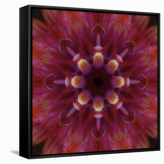 Colorful kaleidoscope.-Anna Miller-Framed Stretched Canvas