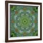 Colorful kaleidoscope.-Anna Miller-Framed Photographic Print