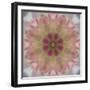 Colorful kaleidoscope.-Anna Miller-Framed Photographic Print