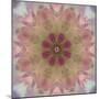 Colorful kaleidoscope.-Anna Miller-Mounted Photographic Print