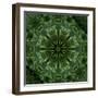 Colorful kaleidoscope.-Anna Miller-Framed Photographic Print