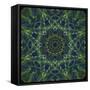 Colorful kaleidoscope.-Anna Miller-Framed Stretched Canvas