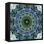 Colorful kaleidoscope.-Anna Miller-Framed Stretched Canvas