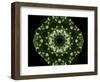 Colorful kaleidoscope.-Anna Miller-Framed Photographic Print