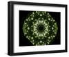 Colorful kaleidoscope.-Anna Miller-Framed Photographic Print