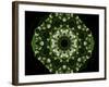 Colorful kaleidoscope.-Anna Miller-Framed Photographic Print