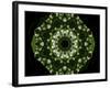 Colorful kaleidoscope.-Anna Miller-Framed Photographic Print