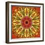 Colorful kaleidoscope.-Anna Miller-Framed Photographic Print