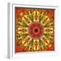 Colorful kaleidoscope.-Anna Miller-Framed Photographic Print