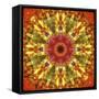 Colorful kaleidoscope.-Anna Miller-Framed Stretched Canvas