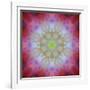 Colorful kaleidoscope.-Anna Miller-Framed Photographic Print