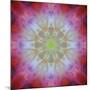 Colorful kaleidoscope.-Anna Miller-Mounted Photographic Print