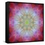 Colorful kaleidoscope.-Anna Miller-Framed Stretched Canvas