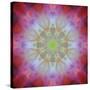 Colorful kaleidoscope.-Anna Miller-Stretched Canvas