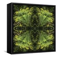 Colorful kaleidoscope.-Anna Miller-Framed Stretched Canvas