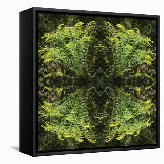 Colorful kaleidoscope.-Anna Miller-Framed Stretched Canvas