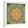 Colorful kaleidoscope.-Anna Miller-Framed Photographic Print