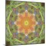 Colorful kaleidoscope.-Anna Miller-Mounted Photographic Print