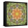 Colorful kaleidoscope.-Anna Miller-Framed Stretched Canvas