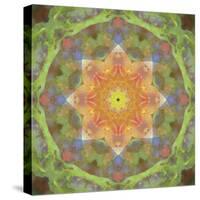 Colorful kaleidoscope.-Anna Miller-Stretched Canvas