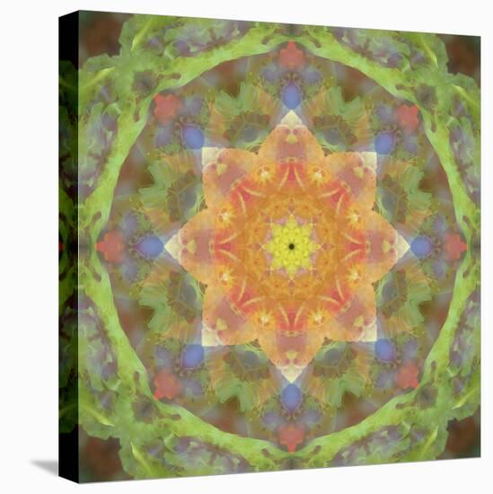 Colorful kaleidoscope.-Anna Miller-Stretched Canvas