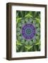 Colorful kaleidoscope.-Anna Miller-Framed Photographic Print