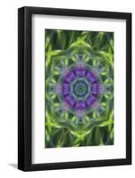 Colorful kaleidoscope.-Anna Miller-Framed Photographic Print