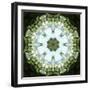 Colorful kaleidoscope.-Anna Miller-Framed Photographic Print