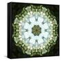 Colorful kaleidoscope.-Anna Miller-Framed Stretched Canvas