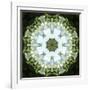 Colorful kaleidoscope.-Anna Miller-Framed Photographic Print