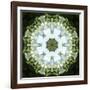 Colorful kaleidoscope.-Anna Miller-Framed Photographic Print