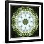 Colorful kaleidoscope.-Anna Miller-Framed Photographic Print