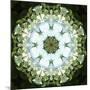 Colorful kaleidoscope.-Anna Miller-Mounted Photographic Print