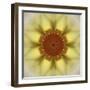 Colorful kaleidoscope.-Anna Miller-Framed Photographic Print