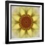 Colorful kaleidoscope.-Anna Miller-Framed Photographic Print