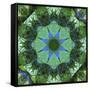 Colorful kaleidoscope.-Anna Miller-Framed Stretched Canvas