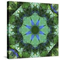 Colorful kaleidoscope.-Anna Miller-Stretched Canvas