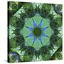 Colorful kaleidoscope.-Anna Miller-Stretched Canvas